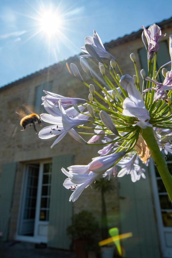 Gite Entre Bordeaux Et Saint-Emilion Génissac Eksteriør bilde